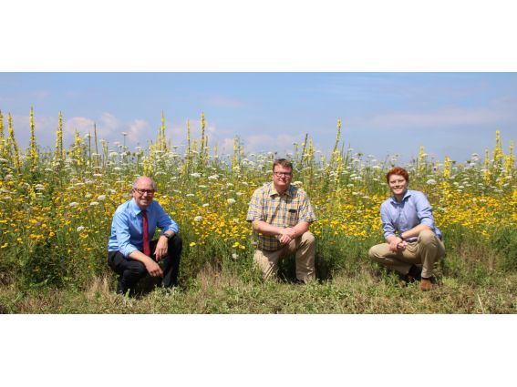 Projekt "Bunte Biomasse" - Wildblumen auf dem Feld von Landwirt Richard Schulte © Foto Kreis Paderborn